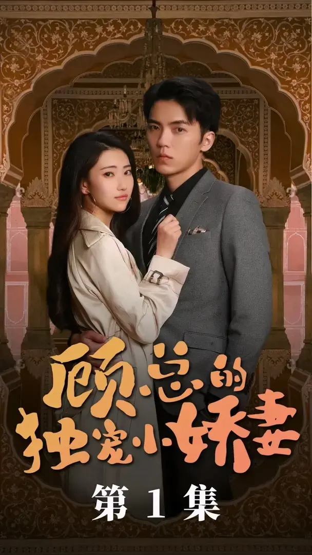 顾总的独宠小娇妻 海报