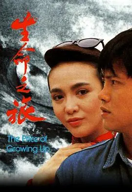 生命之旅国语 海报